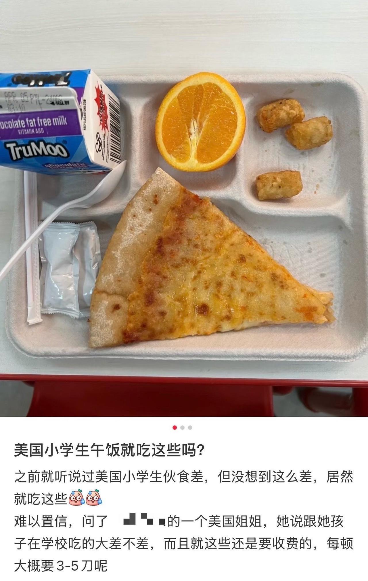 美国小学生的午饭，看着真有点离谱。
 
托盘里就那么几样：一块三角形的芝士披萨，