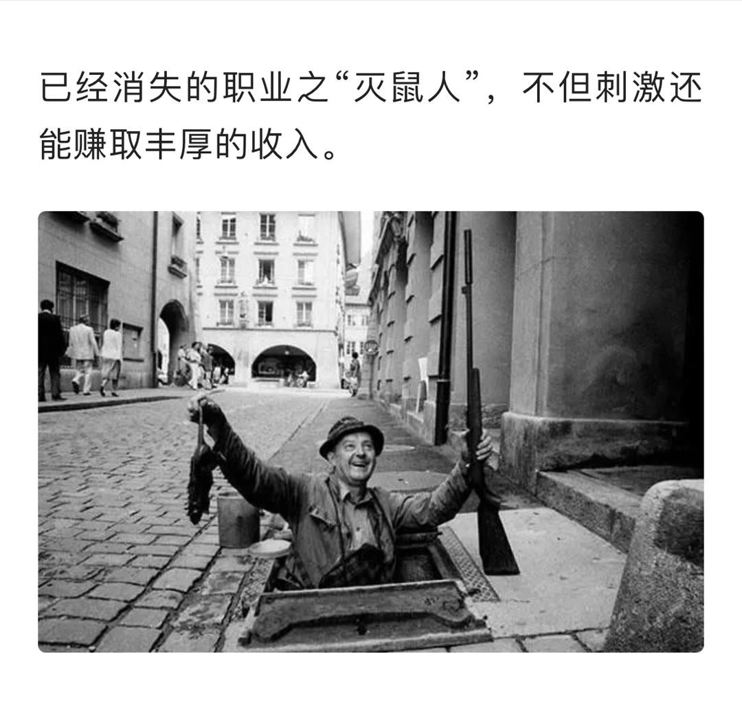 不可思议的大家庭