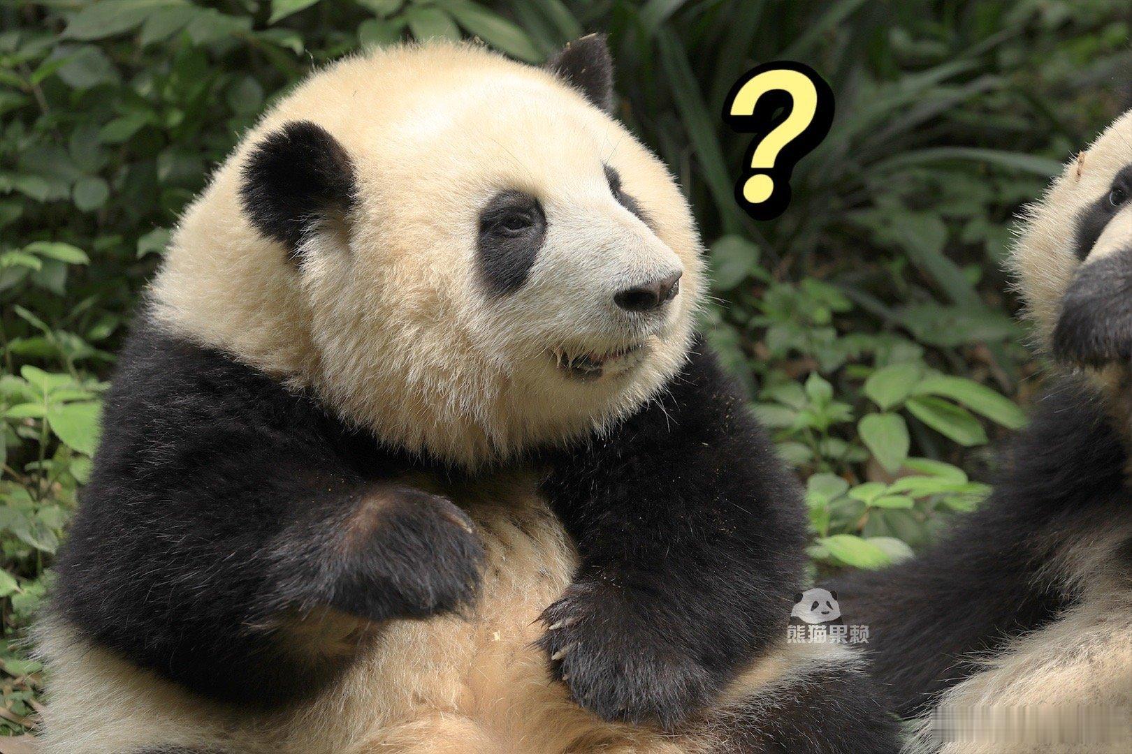 你说什么？他还有个亲哥哥也没结婚？什么？他从小当闺女养的？哈？ 哥哥 你是不是比
