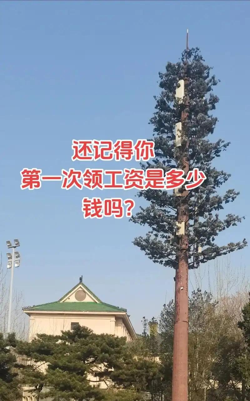 我92年参加工作，第一份工资95元。
92年毕业，分配的工作是企业办公室的文员，