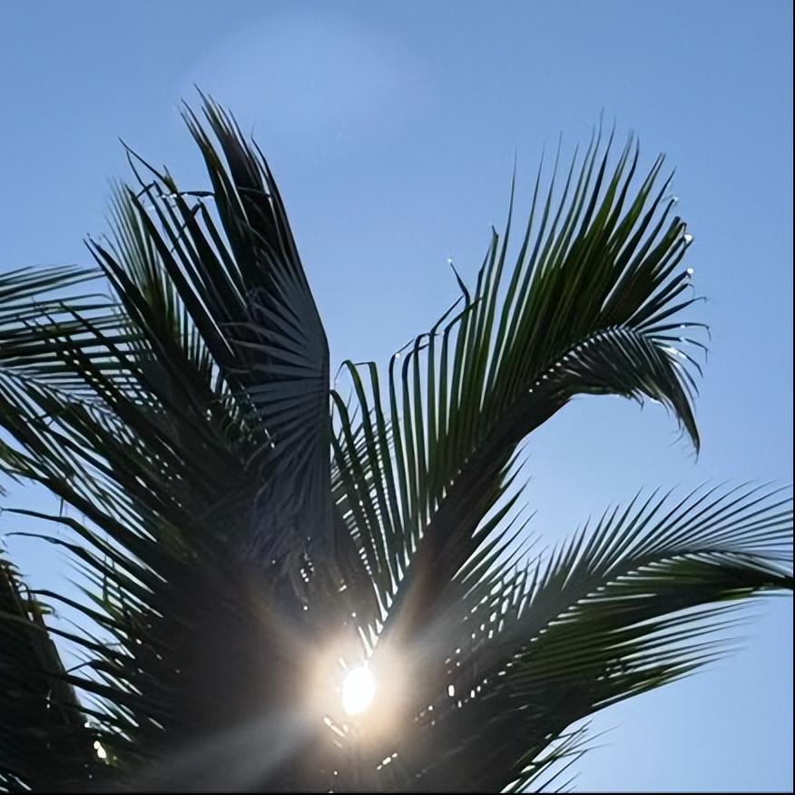 11月14日，中央纪委第二十次集体学习传递出4个重要信号：
 
一是推进全面从严