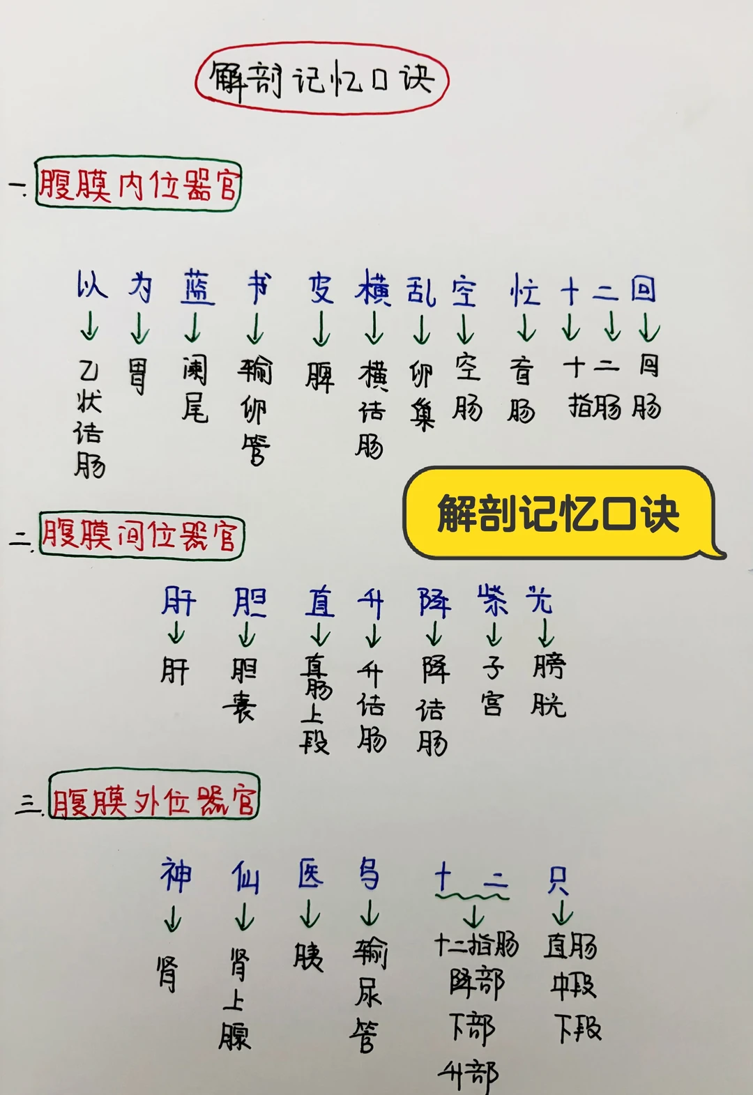 今日学习打卡——解剖记忆口诀