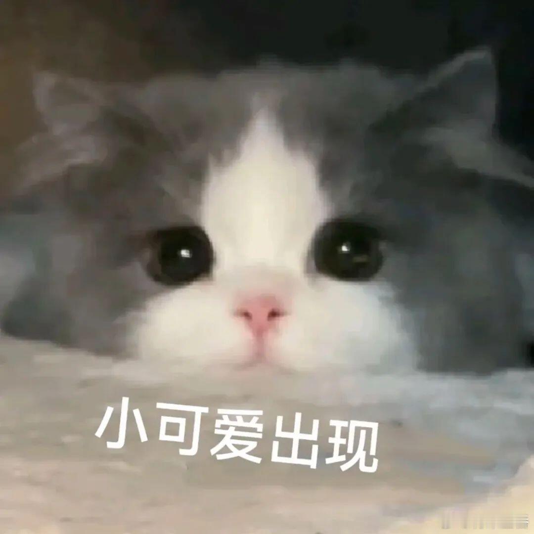星番夜liao 未影视化的小说中，你觉得特别适合拍成剧的是哪部？[哇] ​​​
