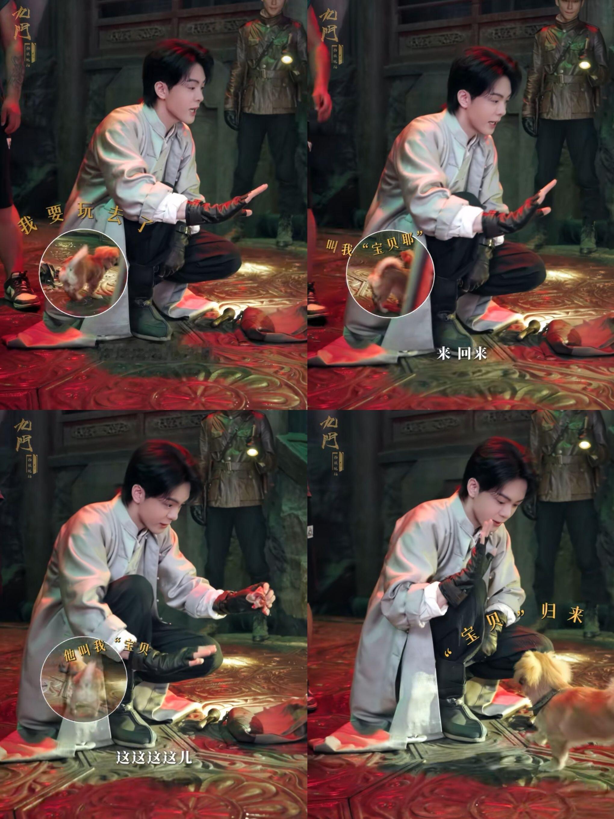 曾舜晞叫三寸钉女明星 曾舜晞叫三寸钉女明星也太宠了吧！有新狗狗了还不忘给钉妹营业