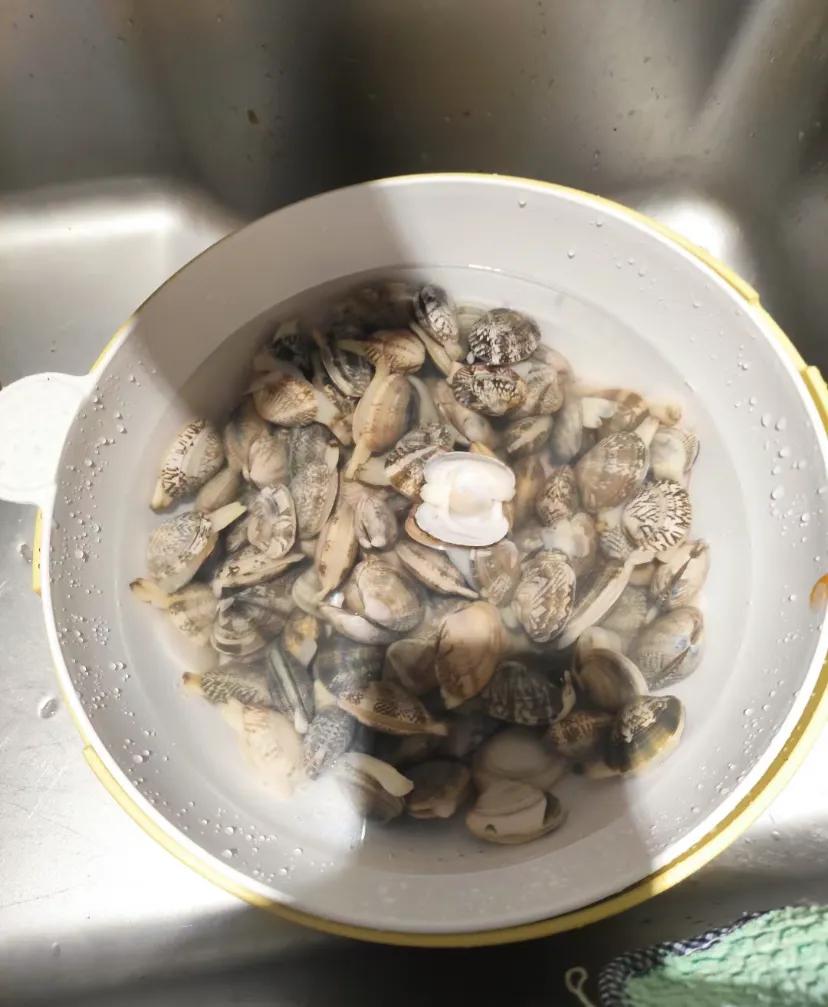 放了一夜的花甲
#花甲变成了这样臭臭的还能吃吗