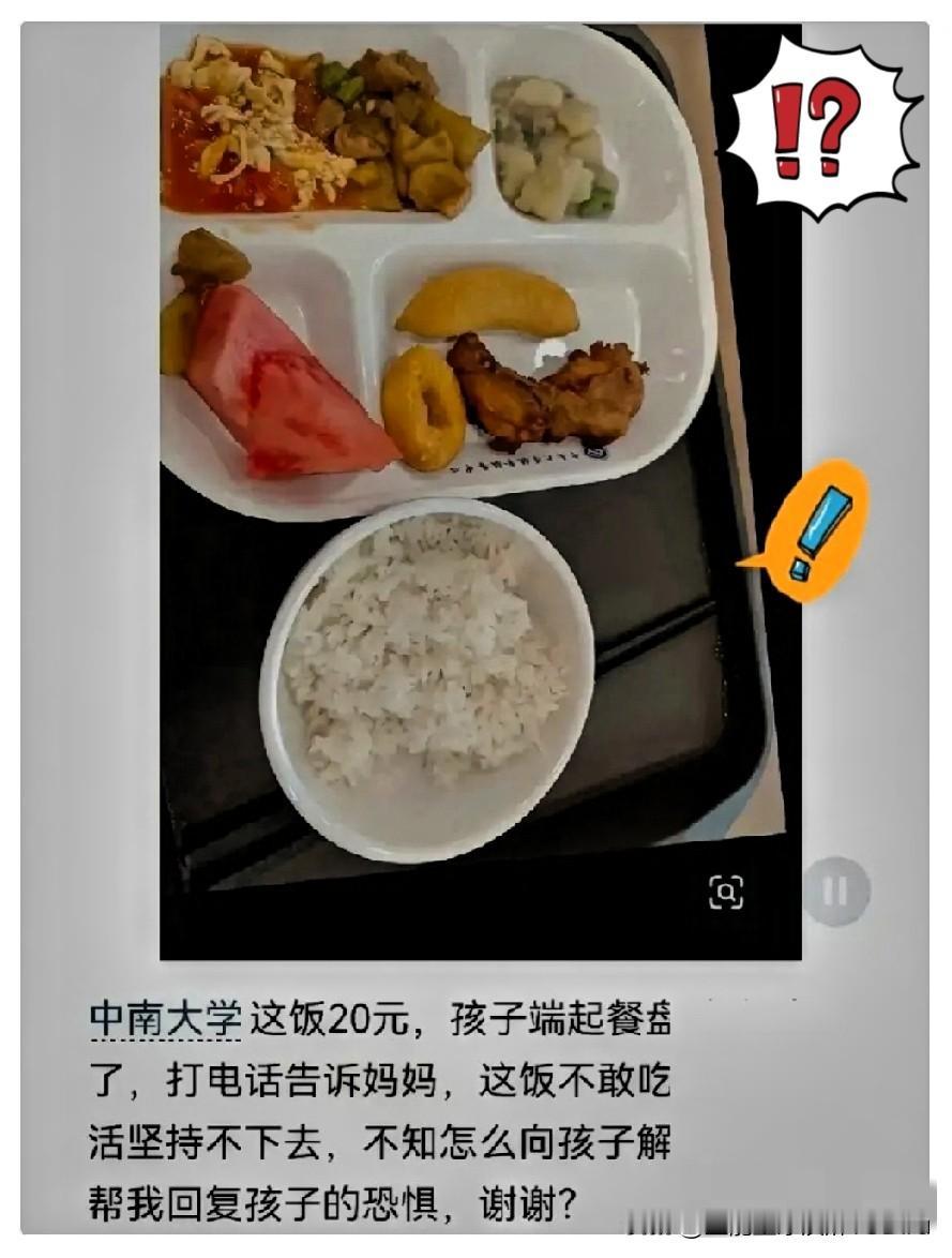 中南大学这新生，因为一顿饭花了20块钱，竟然在电话里哭得稀里哗啦。这事儿被家长发