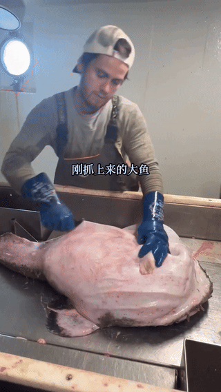 刚抓上来的大鱼，肚子鼓鼓的，异常的大，小伙剖开鱼肚子后吓傻了，里面是吃了其他的大