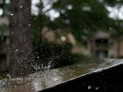 #记录秋日生活点滴#暗香·重阳节抒怀
文/梅宇峰
人间九月。正花凋树冷，绿黄难决