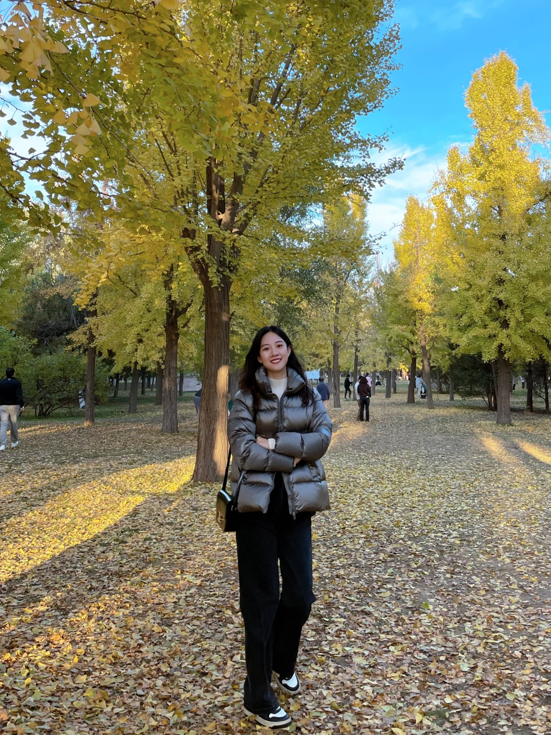 北平之秋🍂