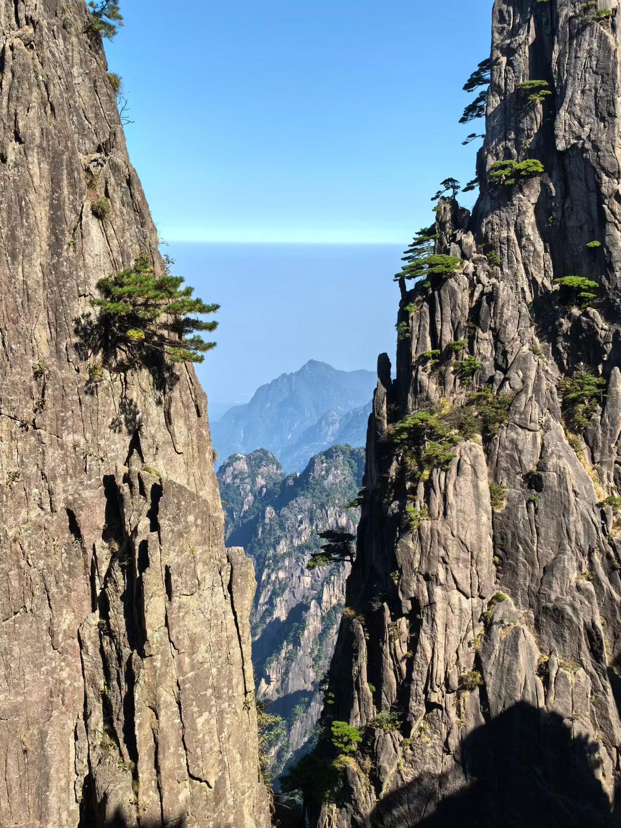 五大“贡献天团”，看看你入团了吗😂
 
五大经济贡献天团：
📈股民：追涨杀跌