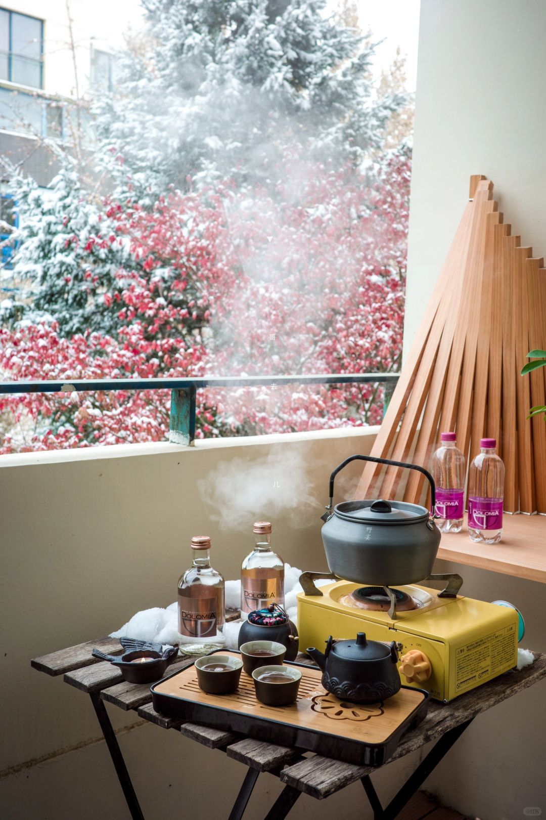 一早推开窗，被邻居家的枫丹白雪惊艳到