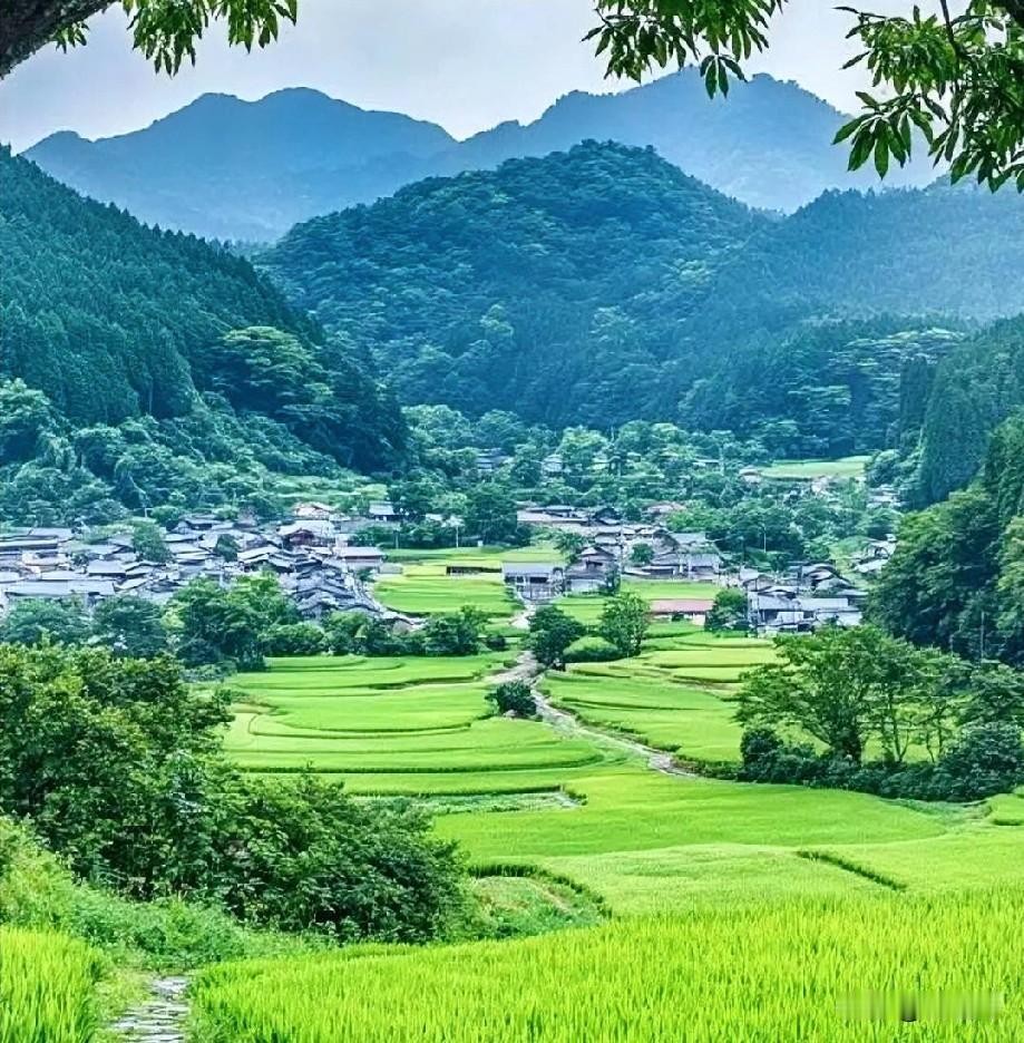 现代年轻人是主动离开故乡的游子。他们与土地的关系，不再是魂牵梦萦的羁绊，而是一种