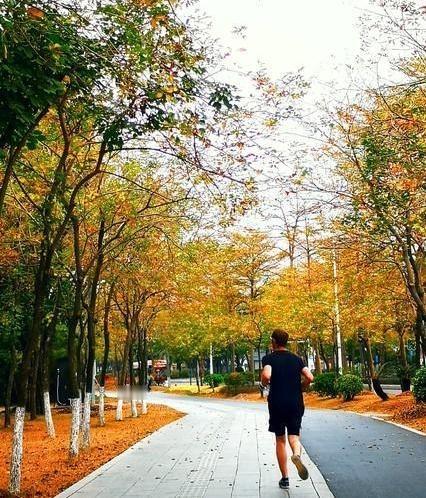 一位医生说：“我干这行三十年，发现一个规律：那些能跑起来的人，身体都不差。不是跑