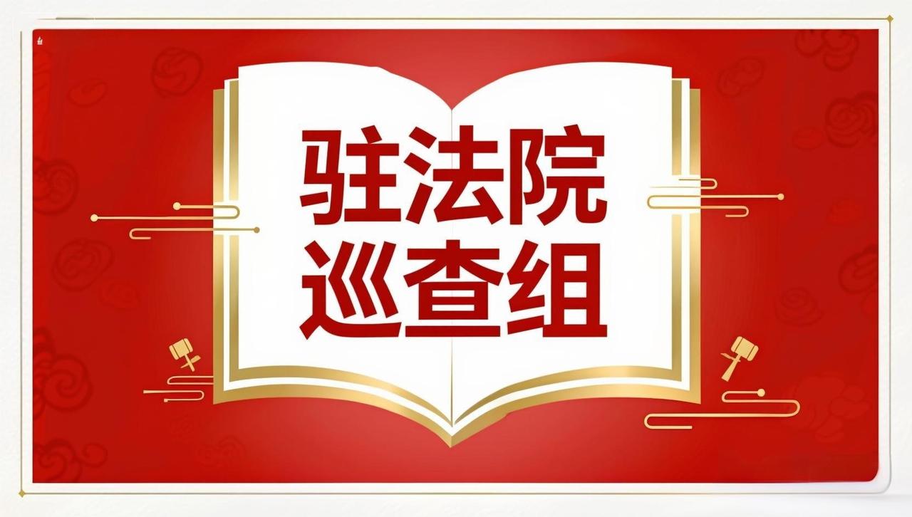 董哥:90%挤巡视组的维权人！驻法院巡察组才是精准举报通道，3大优势直接提速翻案