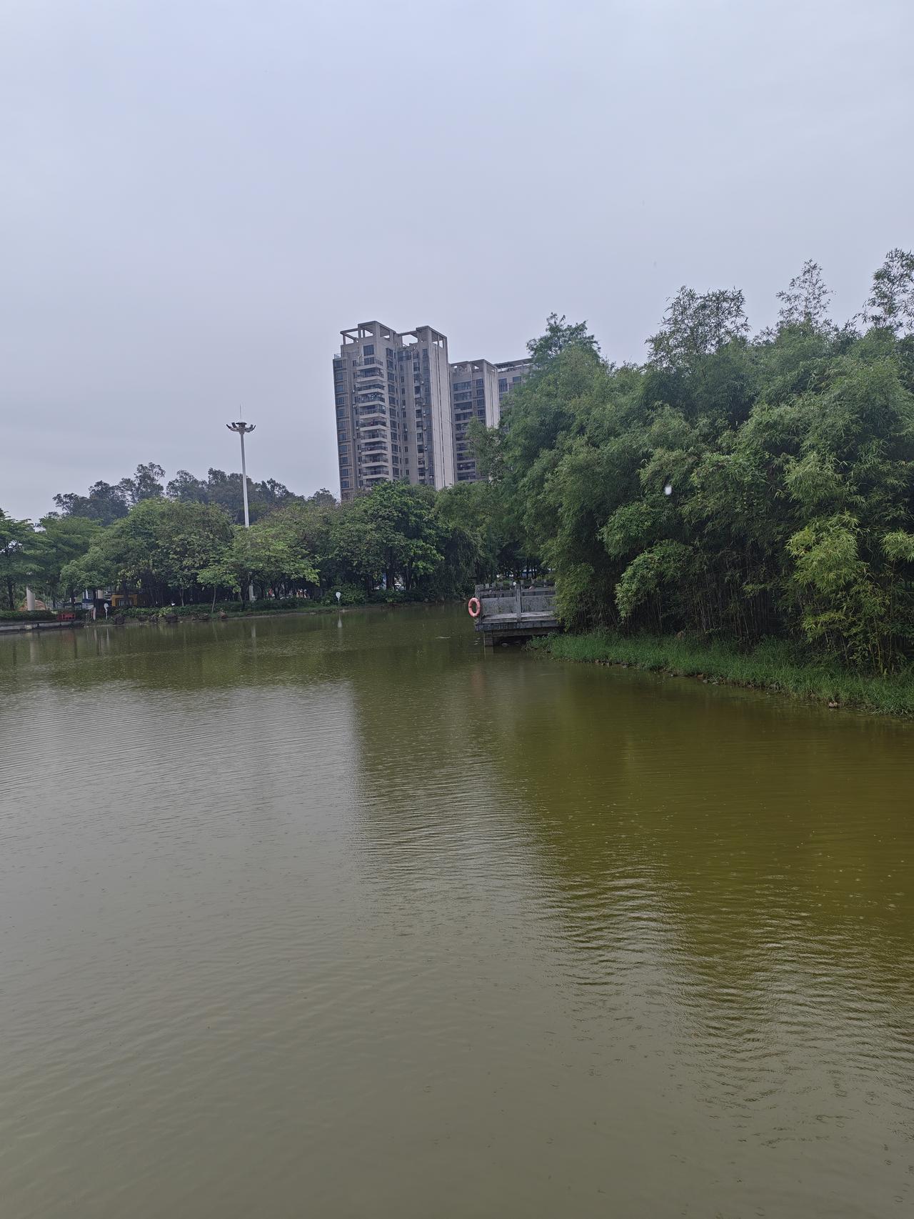 真心话茶局这些年逛的新建公园太多了，这种老式的公园真的是慢慢的都退出了时代，留下