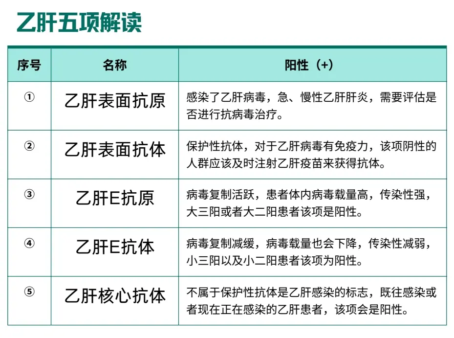 一张图解读乙肝五项！。