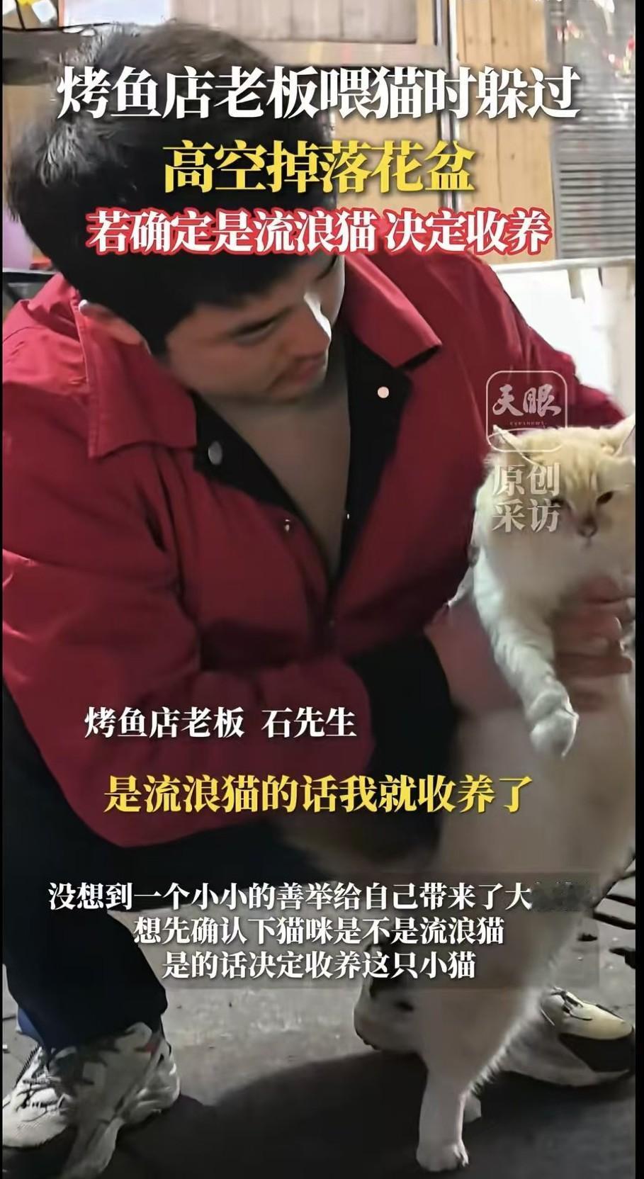 他送它一块肉，它救他一条命，这不就是好人有好报吗？！贵阳烤鱼店老板要收养小黄猫了