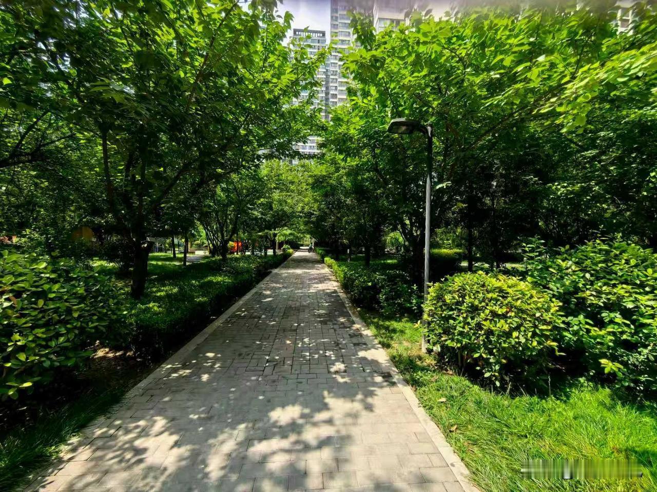 这几天不知是天热还是什么原因，街上没什么人，就连西瓜摊上也半天不见一个人，这么热