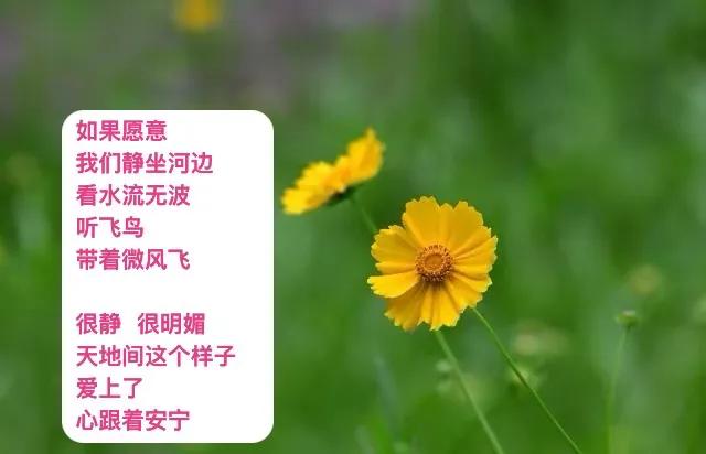 向往 花间一壶酒
你我坐下
道声别来无恙
眼里  流淌着温柔
．
夏日转瞬即逝
