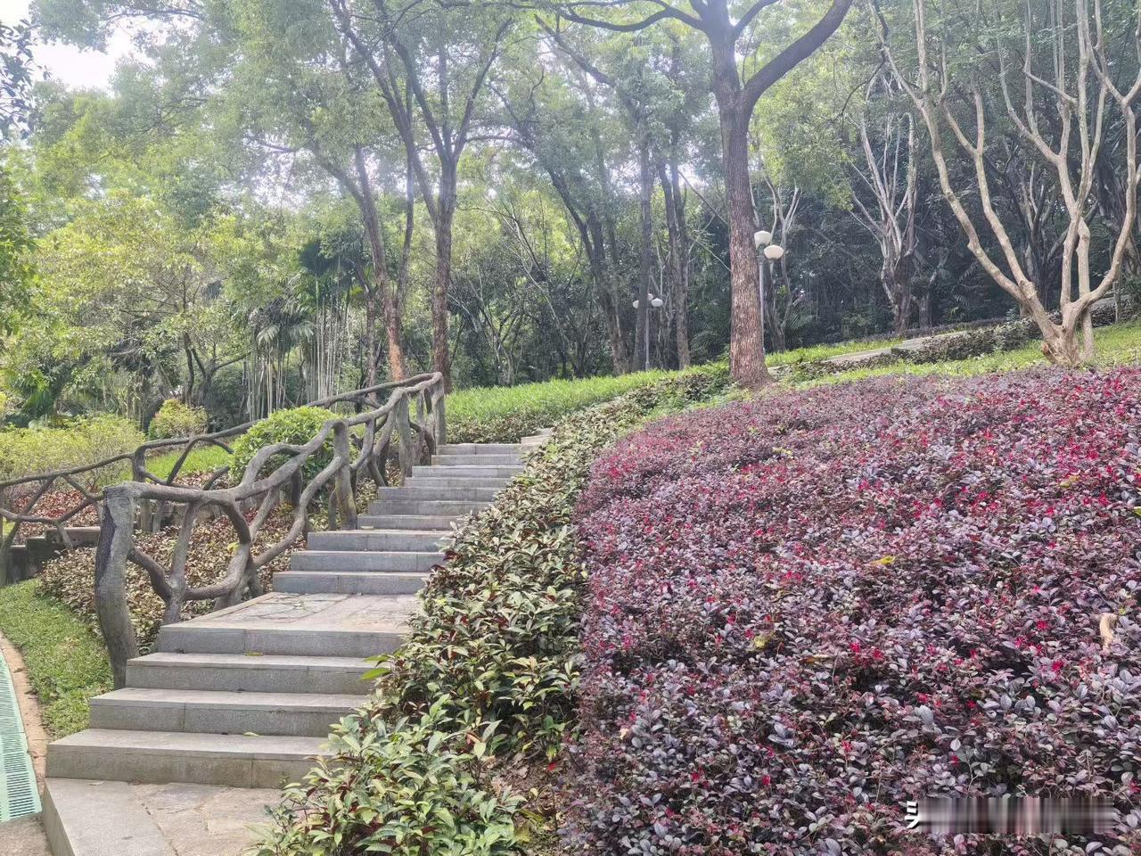 人一旦过了五十，大半辈子算是过去了。辛辛苦苦一辈子，却还是总想着省吃俭用，想着把