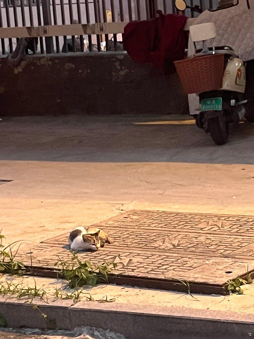 好小一个 