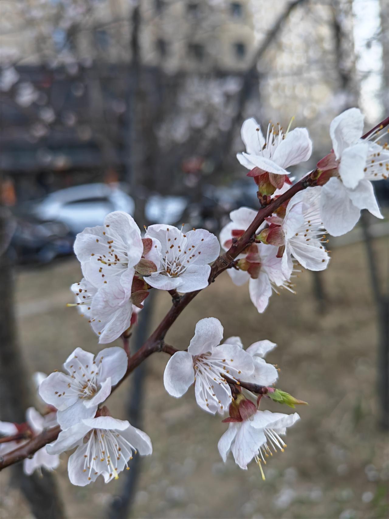 晚上取快递随手一拍。