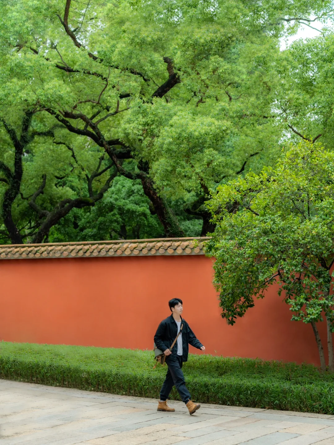 广州拍照|雨天的农讲所真的太治愈啦‼️