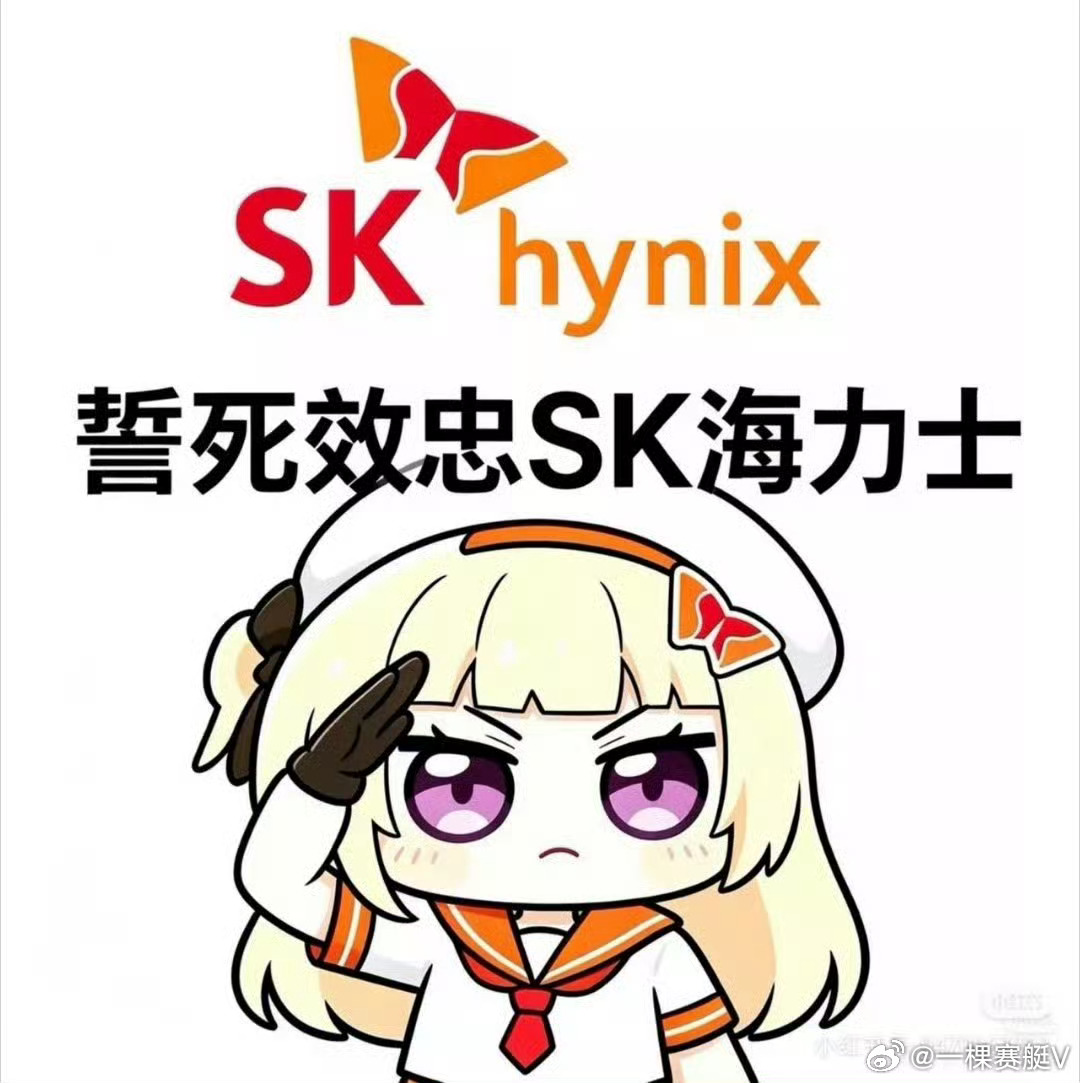A股 科技涨到什么程度，已经到我妈和我说早知道买100手海力士了 