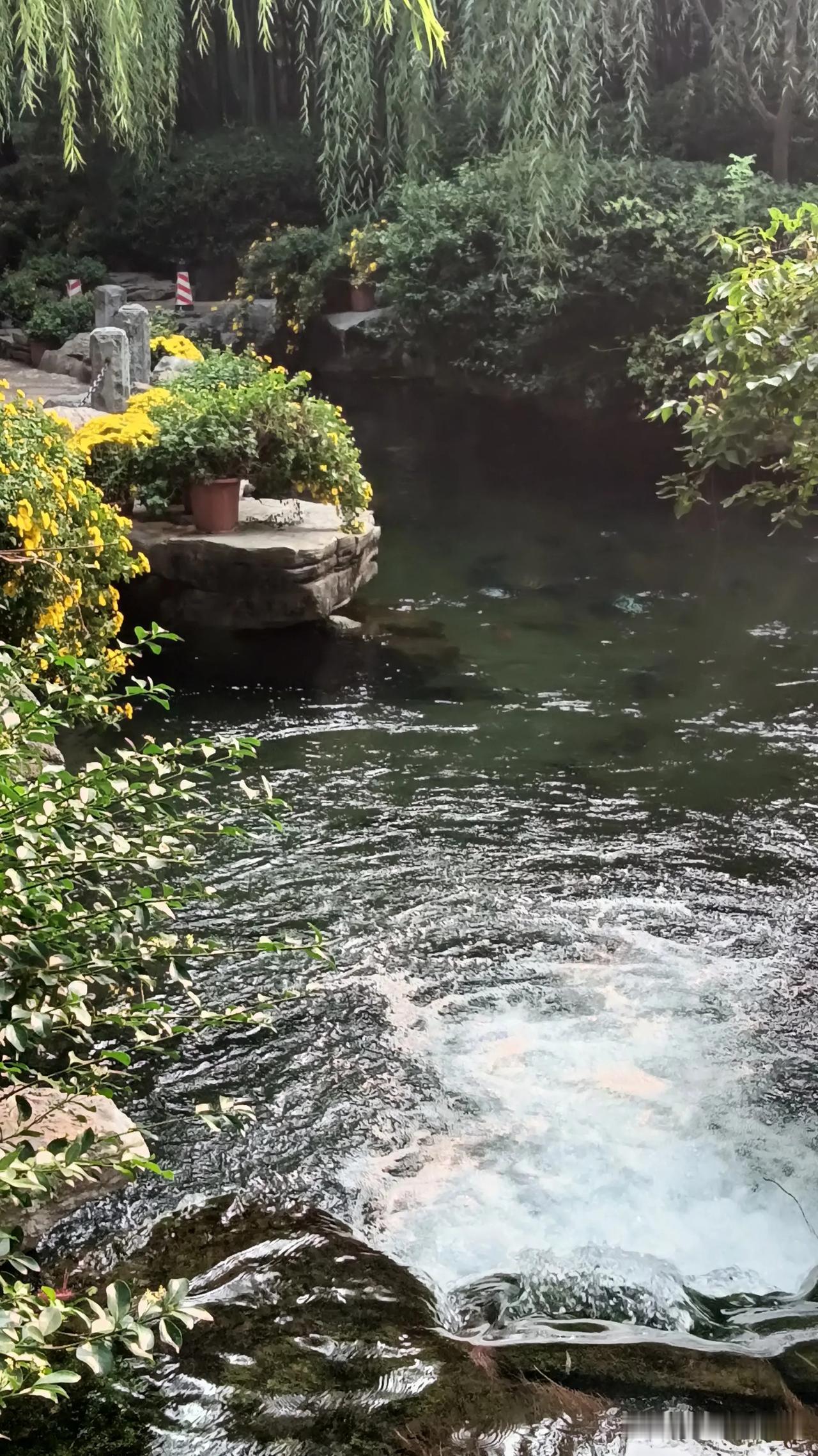 《品酒话沧桑》

一日三餐二两酒，
家国诗书心中留。
金钱权势如粪土，
自古难阻