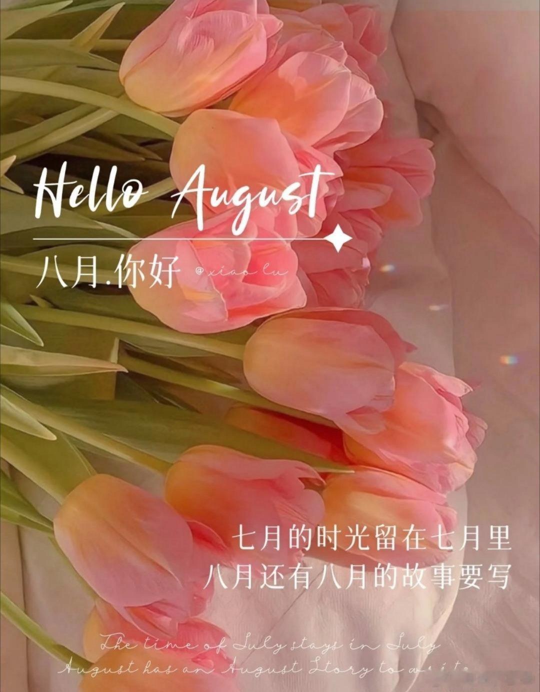 早安 和七月温柔道别，奔赴崭新的八月。所有夏日的遗憾，都会化作八月惊喜的铺垫，愿