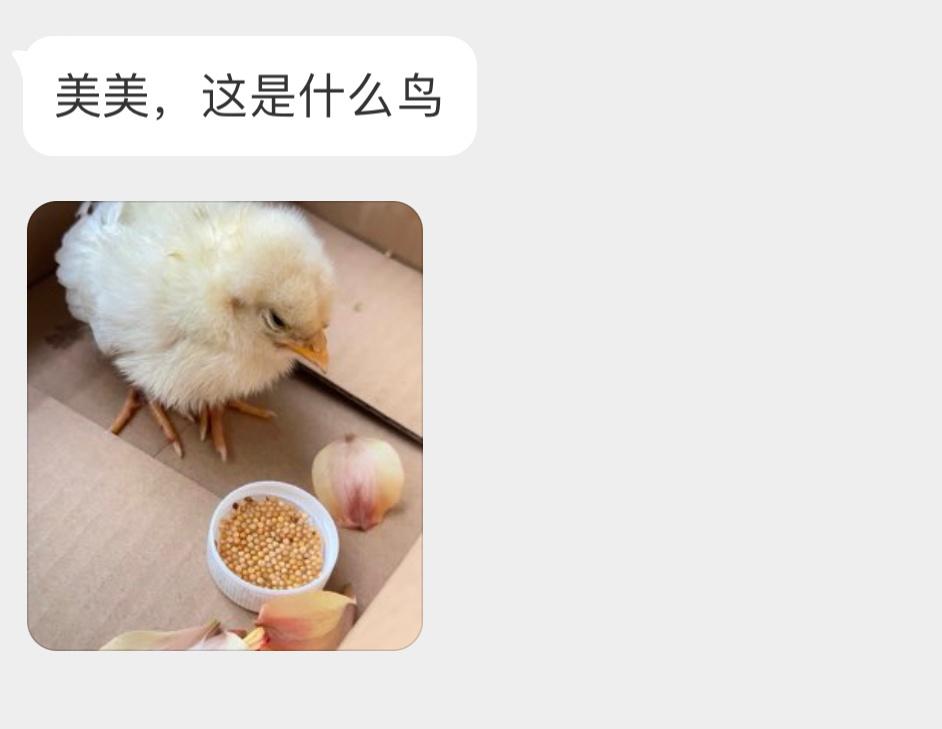 送分题什么鸟你们说！ ​​​