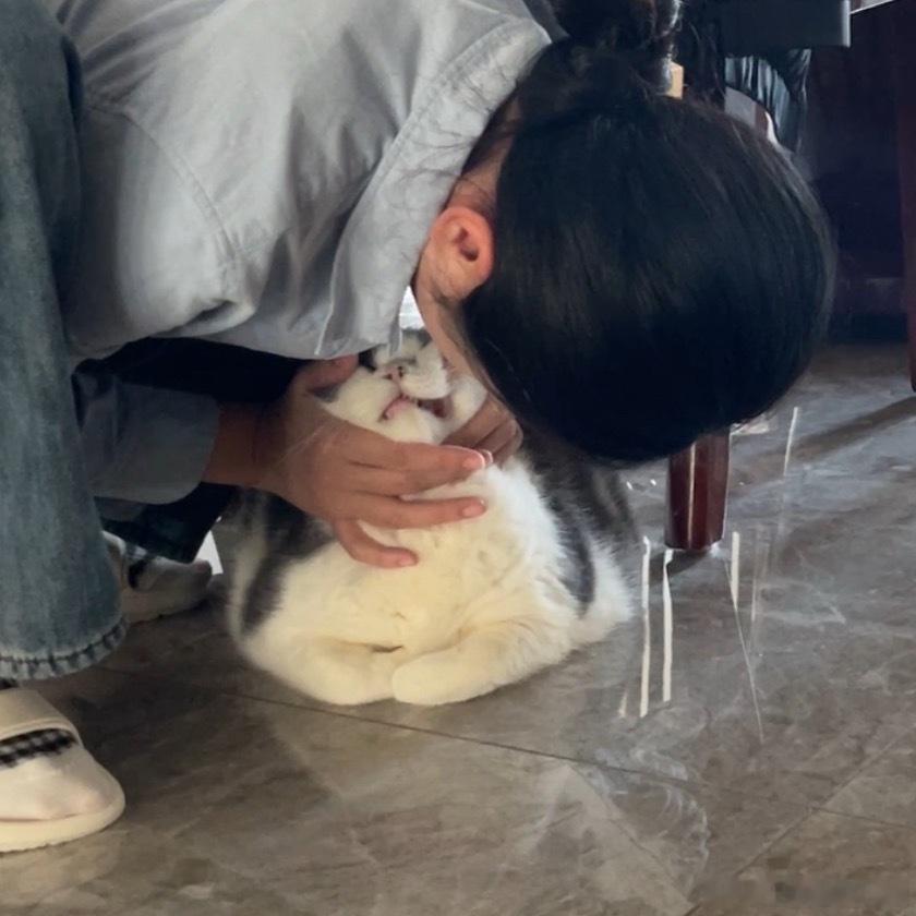 之前我说给我姥爷换个苹果手机，直接买新的对我姥爷来说确实有点功能过剩，因为他就只