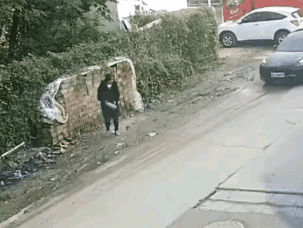 这个女子是吃饱撑的，没事干了，无缘无故，为什么要拿起砖头子来砸这辆车？这脾气也太