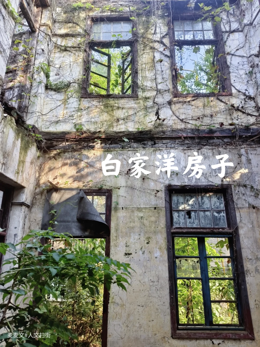【北碚】探秘深山里的