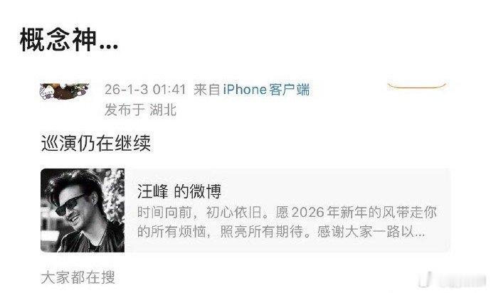 内娱最稳定的人设 汪峰内娱最稳定人设，无人在意的角落叔还在开巡演。。汪峰内娱最稳