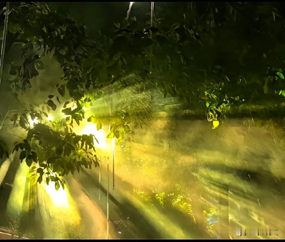 忽然感觉，
有好多话想说，
但是又说不出来。
迷茫了，想去学习，
又不知道从哪里