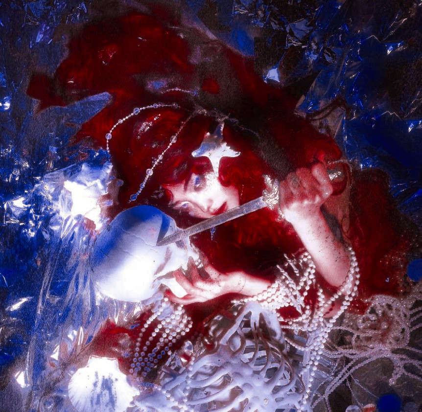 栀子花小家 网图｜自修｜🈲改｜星期巴