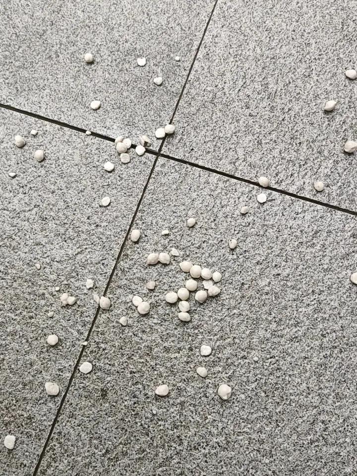 下雪了，这雪还真有点奇怪，难道是传说中的冰雹雪？我还真第一次见。一般的雪是轻盈的