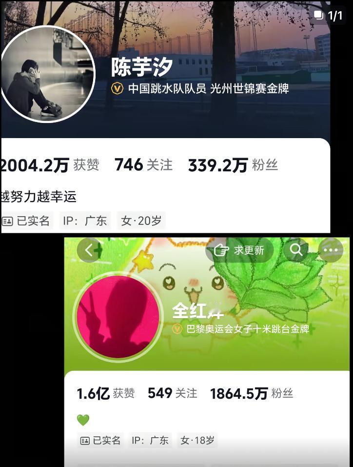 有人说，
陈芋汐粉丝：339.2万
全红婵粉丝：1864.5万

其实粉丝多少，