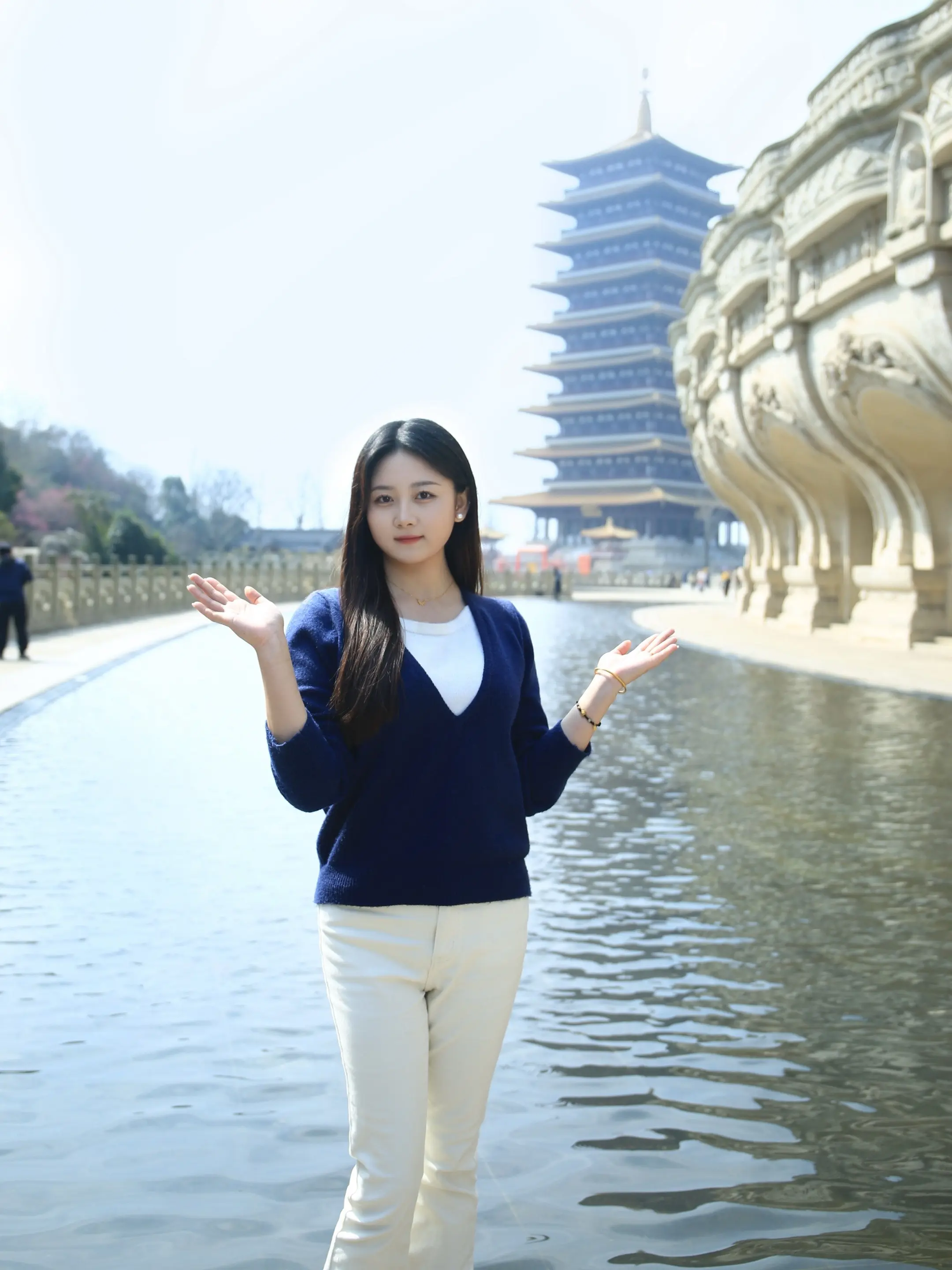 一句梧桐美   种满南京城