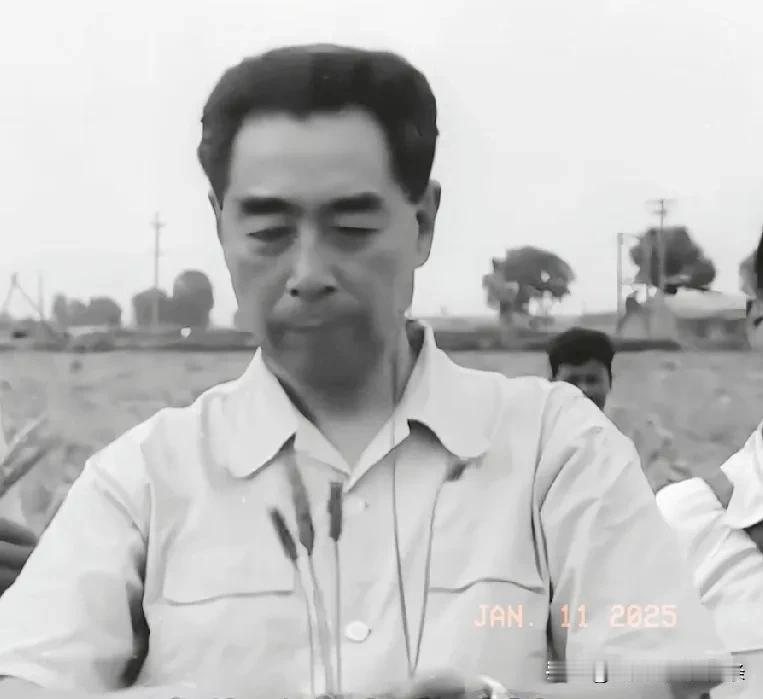 敬爱的周总理到田间地头视察工作……