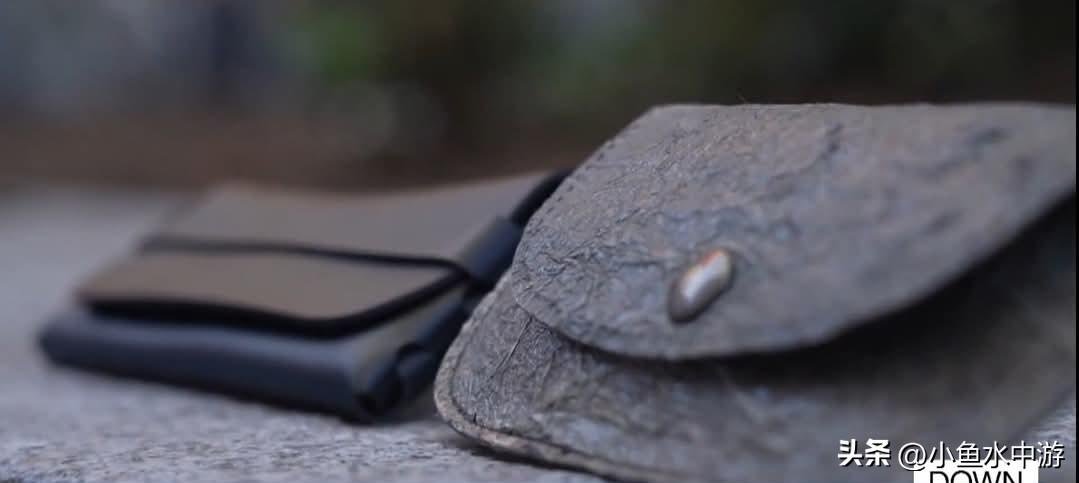 你见过蘑菇做的冲浪板吗？欧洲已经有不少创新企业，利用蘑菇类的菌丝体，制作出材质强