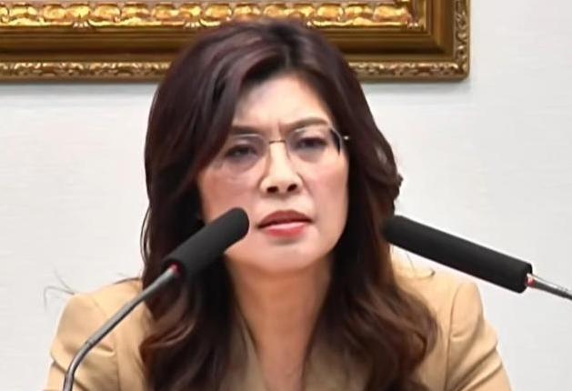 郑丽文说的“只要台湾没有正式宣布独立，大陆就无权武力侵略台湾，如若大陆采取武统行