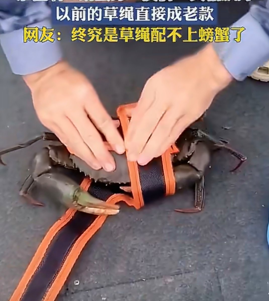 这个好啊 