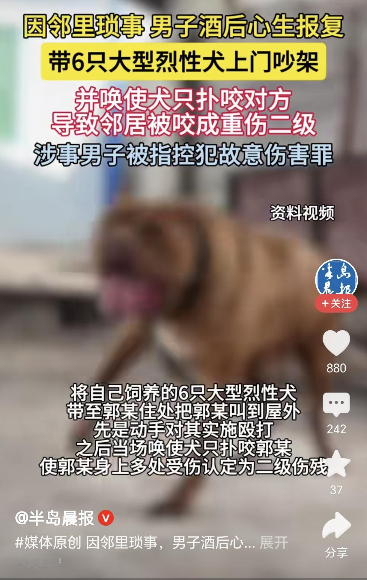 网友们曾经担心的事情终于发生了：想要害人，就故意养大型猛犬去咬人，即使事后被处罚