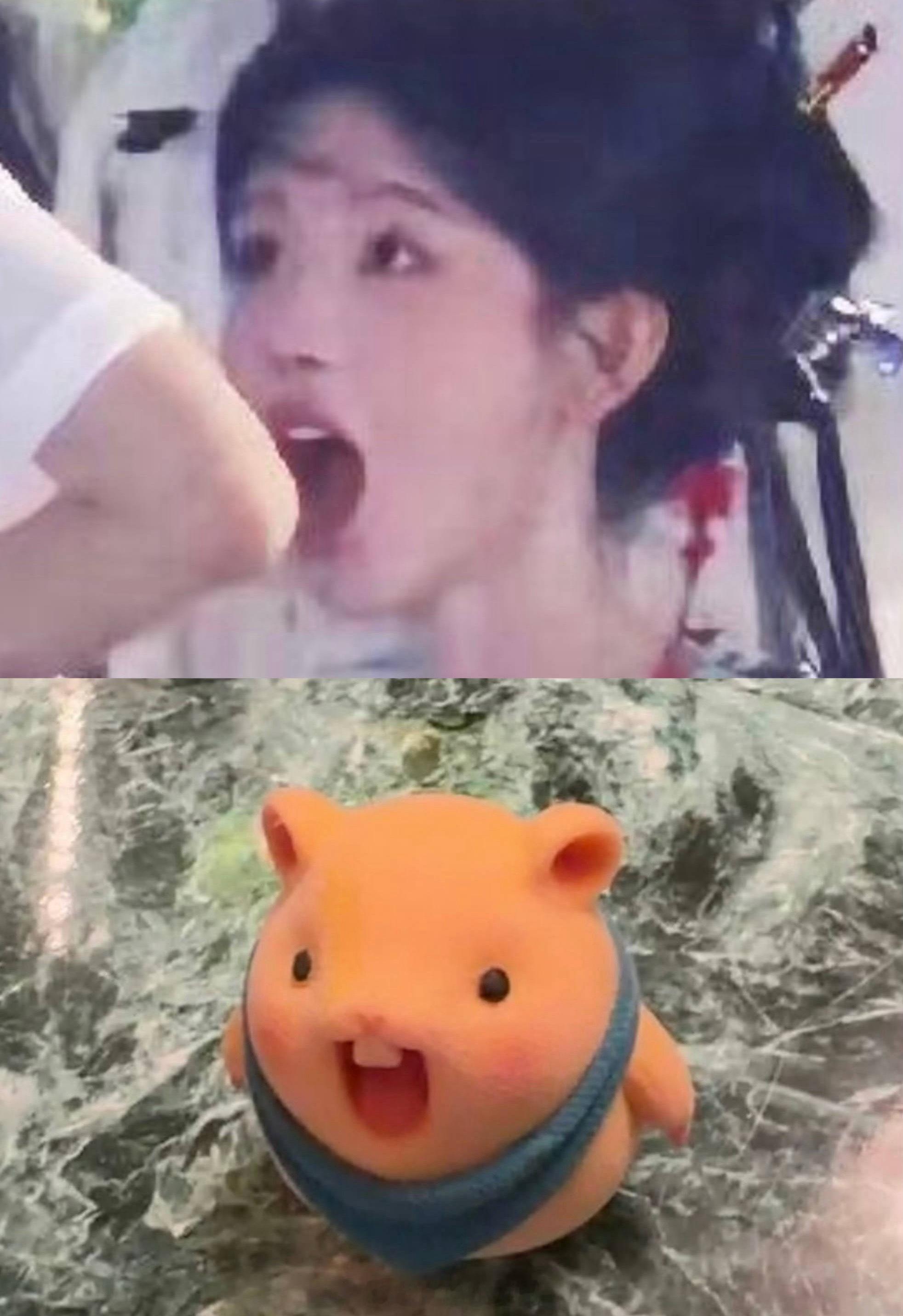 鞠婧祎 别再整出一个鼠塑了哈哈哈 
