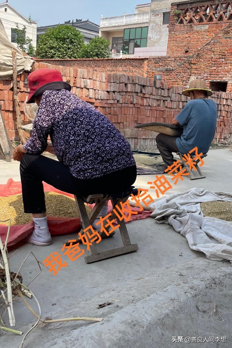 我妈今年八十岁了，耳朵今年明显的背了，给她说话爱打岔了，脸上有了老年斑，头发也变