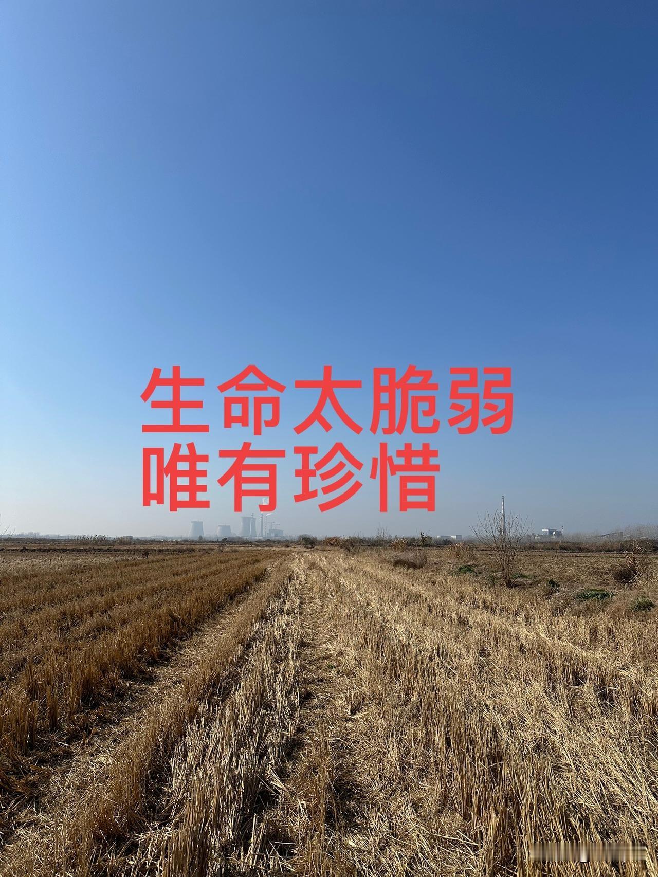 悲惨！56岁的邻居大哥前天晚上在家里去世了，也不知是心梗还是脑梗，走时没有一个亲