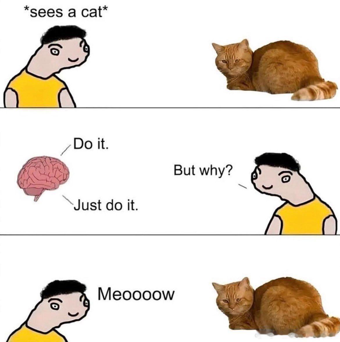 没有理由就 meoooow 出来了 ​​​