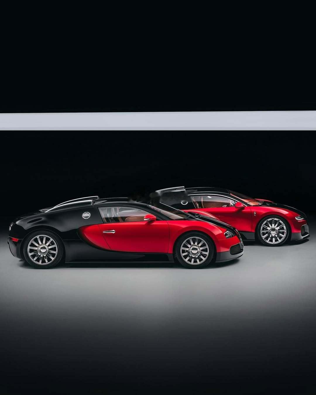 肥龙回归🐲梦想家ALI